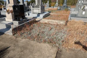 鷹の松墓地公園