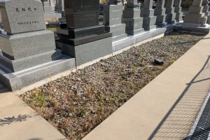 加茂みどりの墓地